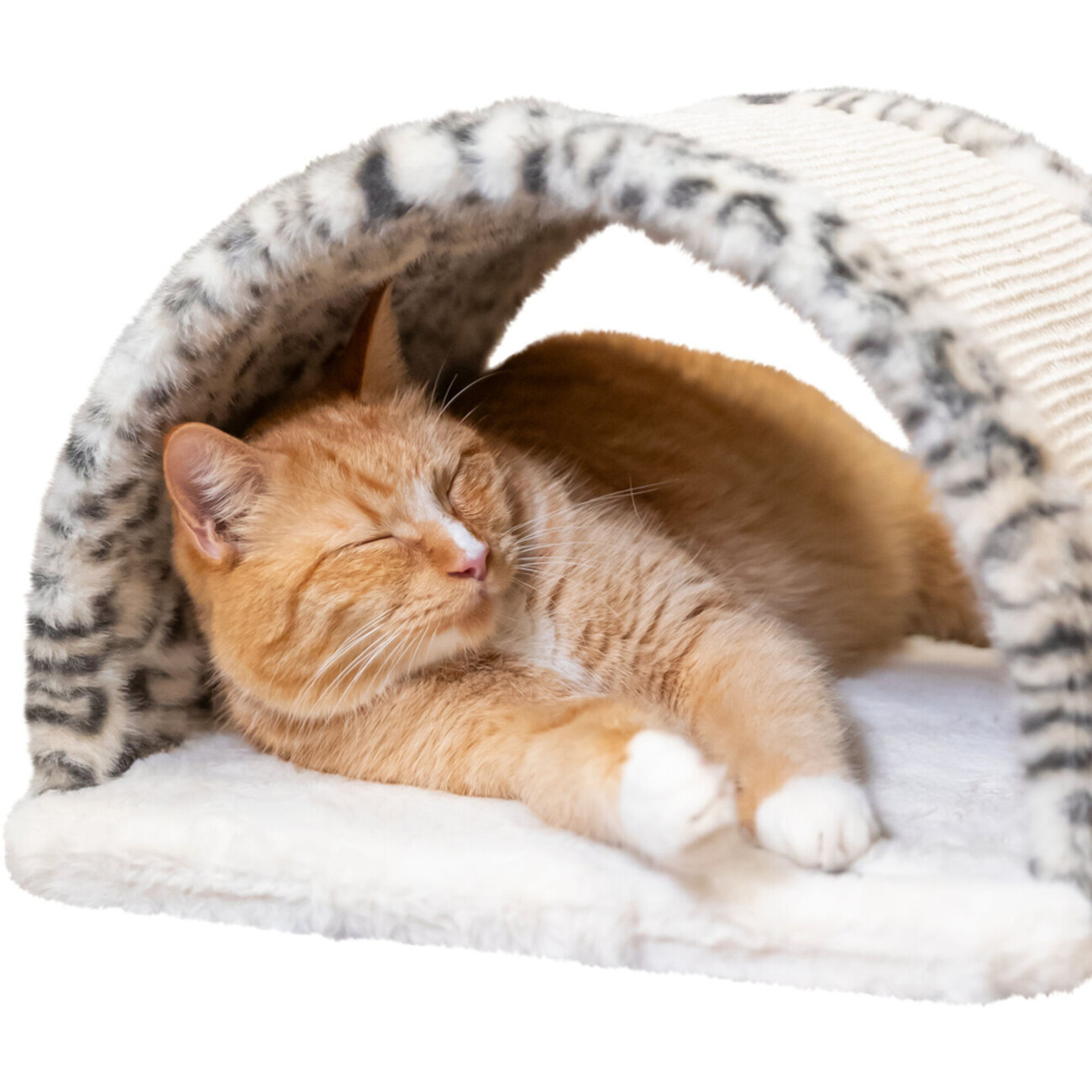 Kratzbrücke Leo Bild 5