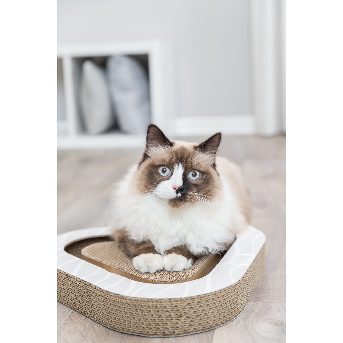 Kratzpappe Triangel mit Katzenminze Bild 8