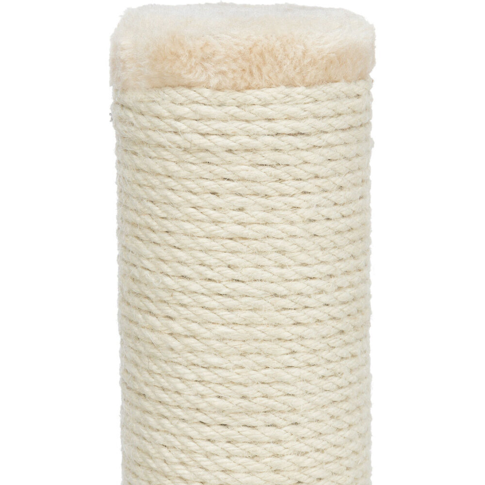 Kratzstamm Batres Bild 5