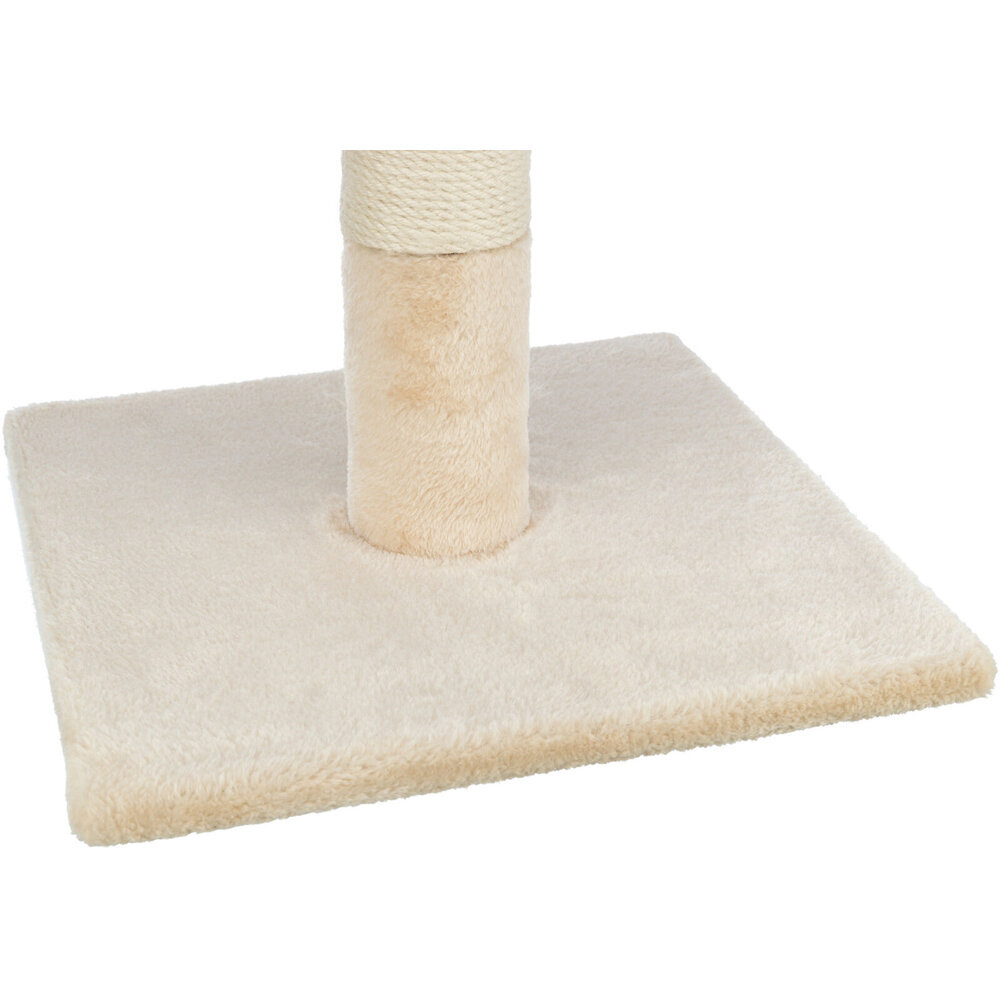 Kratzstamm Batres Bild 6