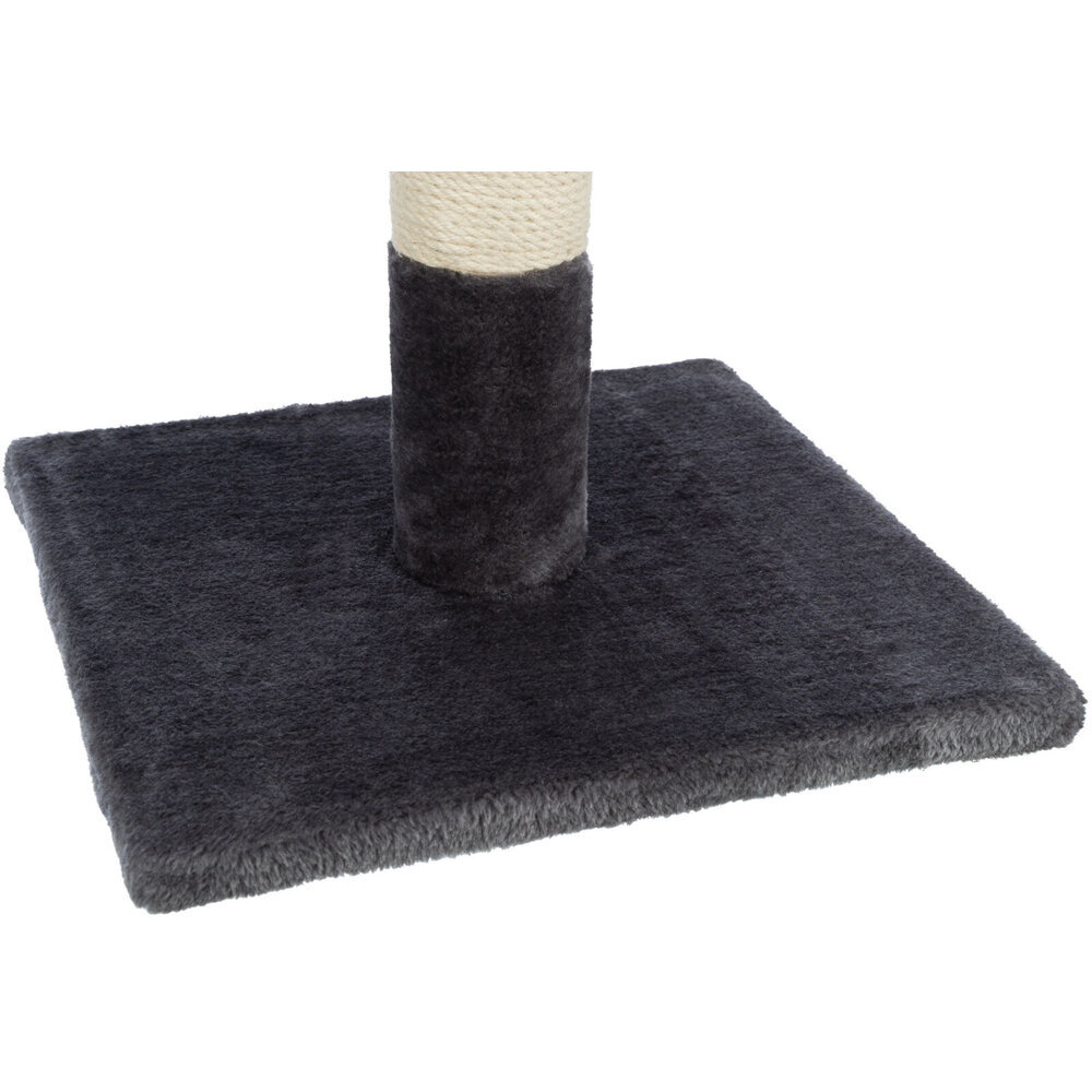 Kratzstamm Batres Bild 3