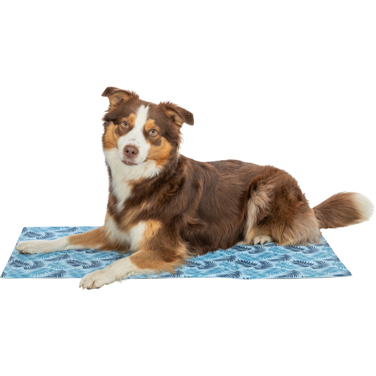 TRIXIE Kühlmatte für Hunde & Katzen – Selbstkühlend gegen Sommerhitze Bild 2