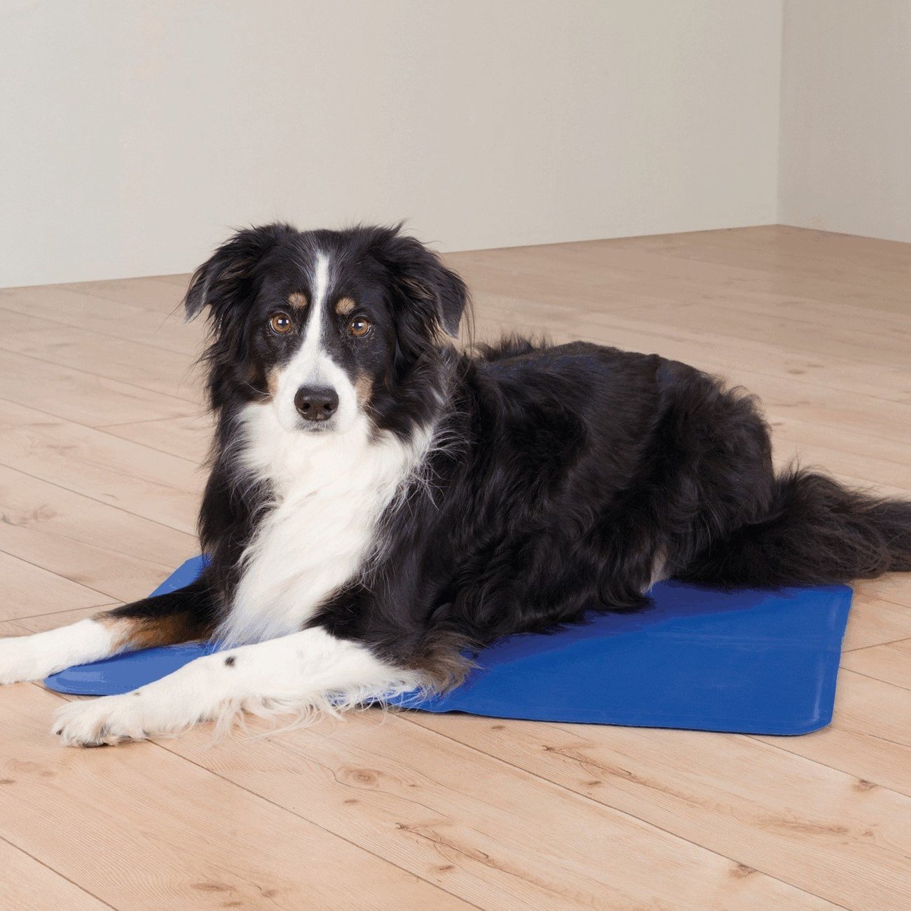 Hunde Kühlmatte Bild 4