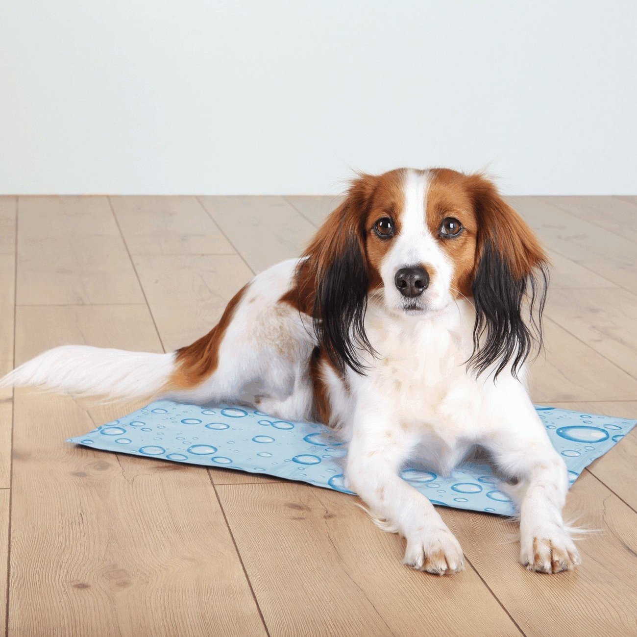 TRIXIE Kühlmatte für Hunde Bubbles Bild 2