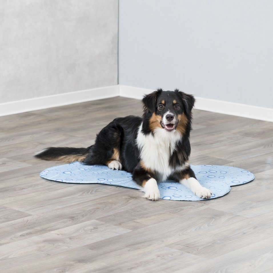 Trixie Kühlmatte Knochenform Bild 2