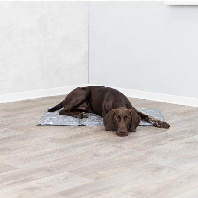 Hunde Kühlmatte Soft Bild 3