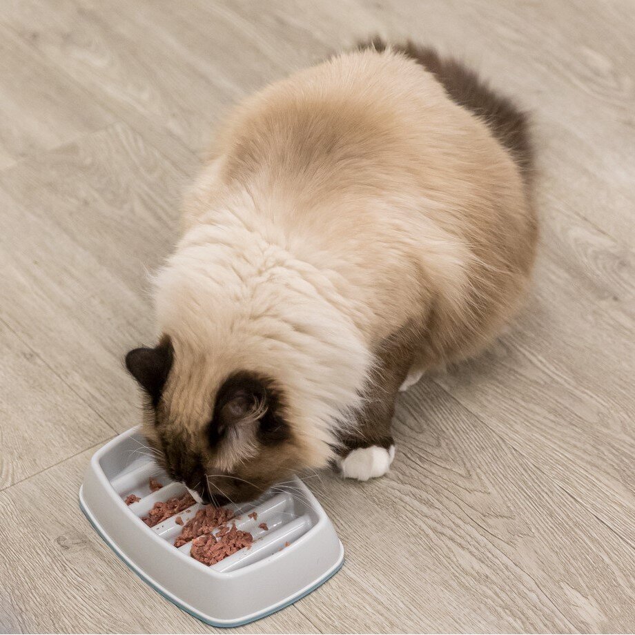 Kunststoffnapf für Katzen viereckig Bild 2