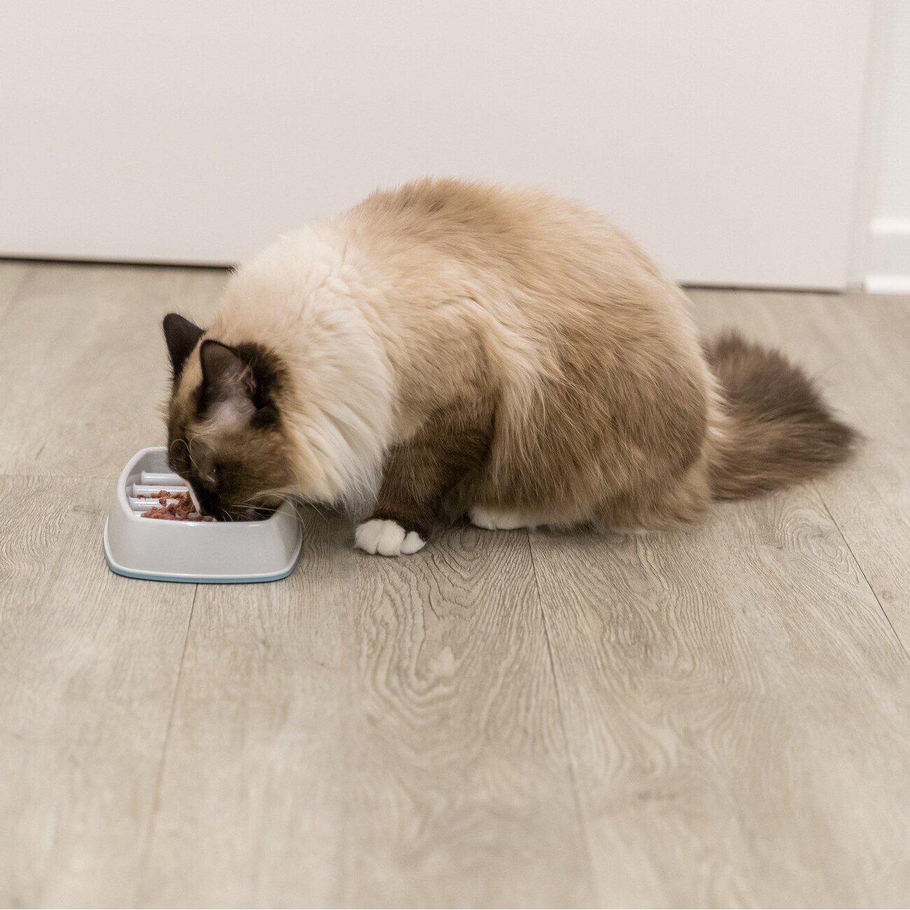 Kunststoffnapf für Katzen viereckig Bild 7