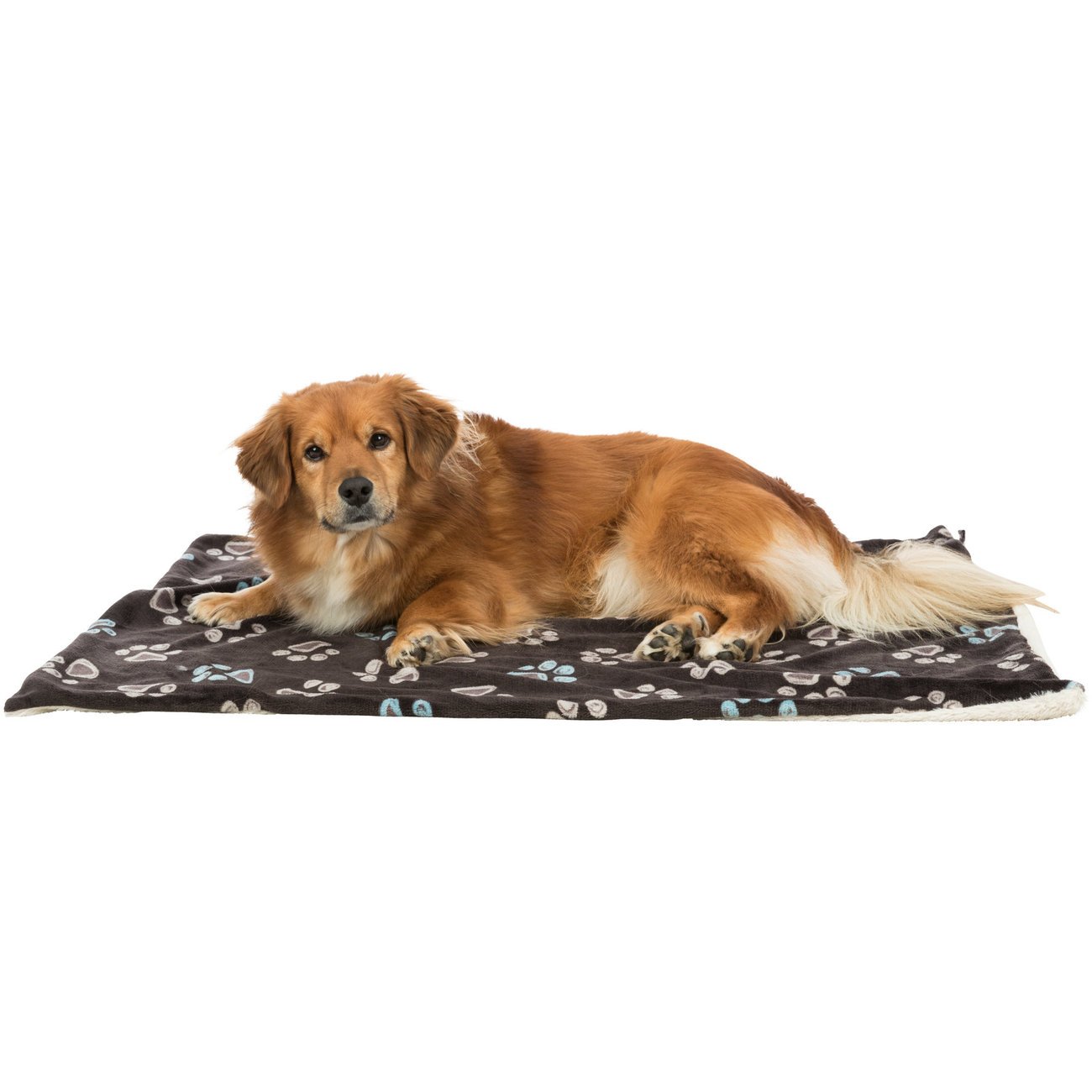 Hundedecke Jimmy Soft Bild 3
