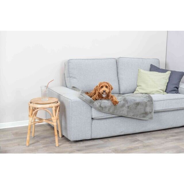 Kuscheldecke für Haustiere Levy, Plüsch Bild 2