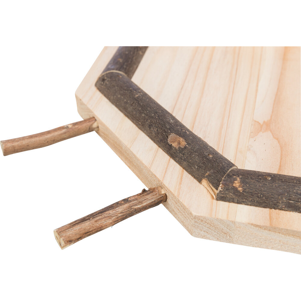 Landeplatz für Wellensittiche Bild 5