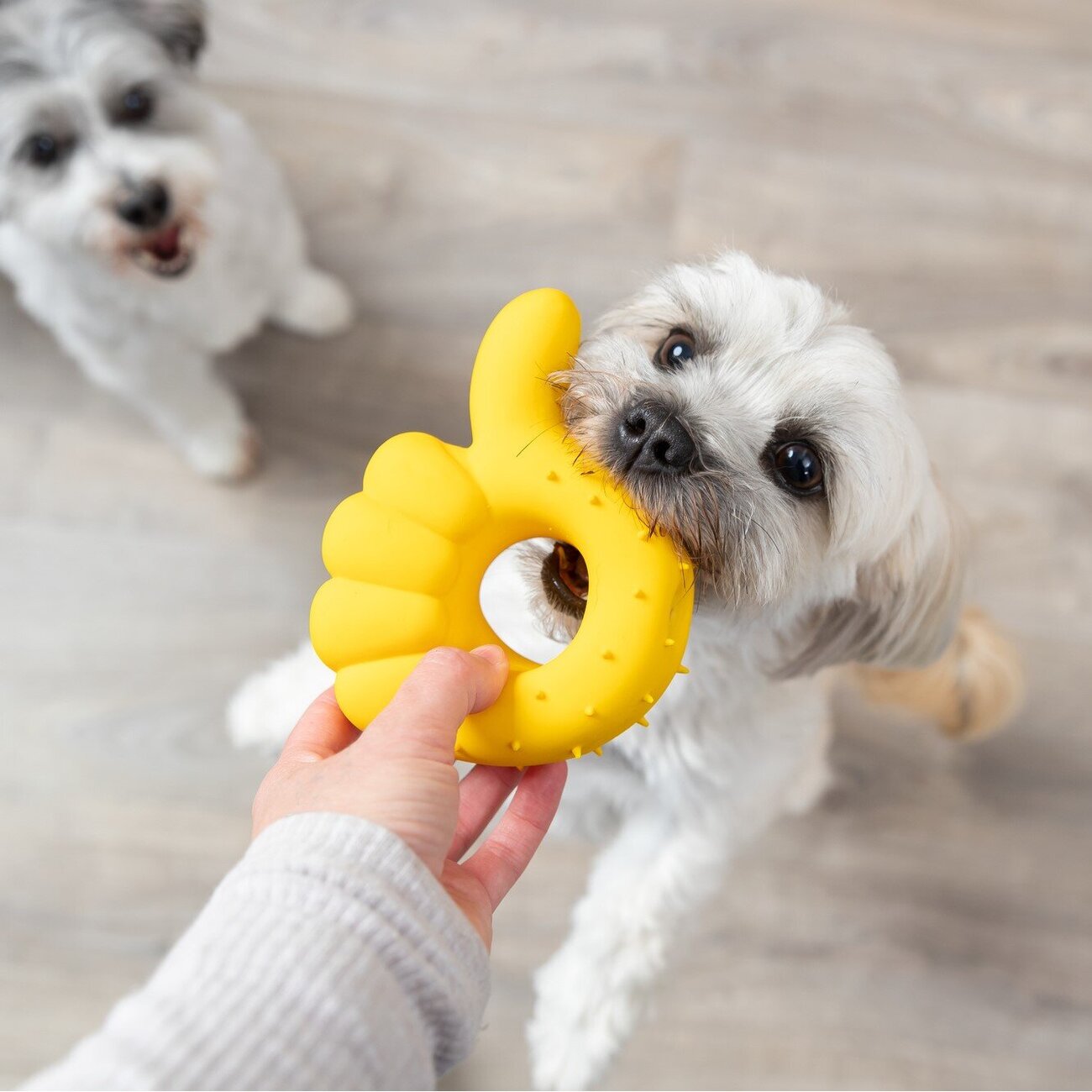 Latex Handzeichen für Hunde Bild 3