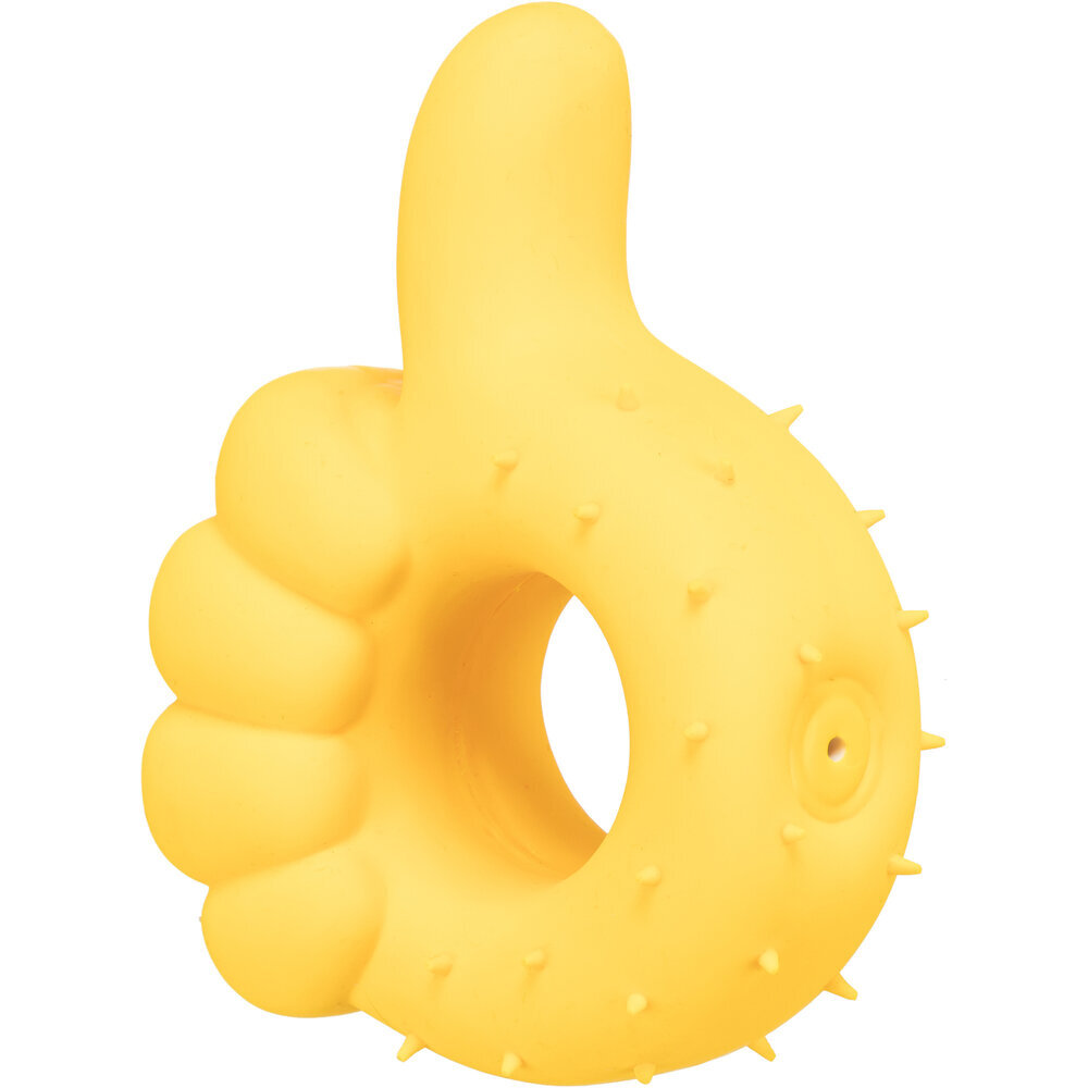 Latex Handzeichen für Hunde Bild 5