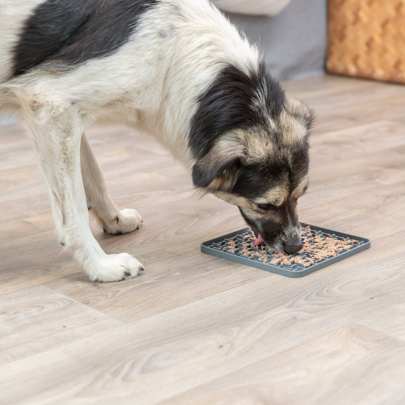 Lick'n'Snack Matte grau Bild 2