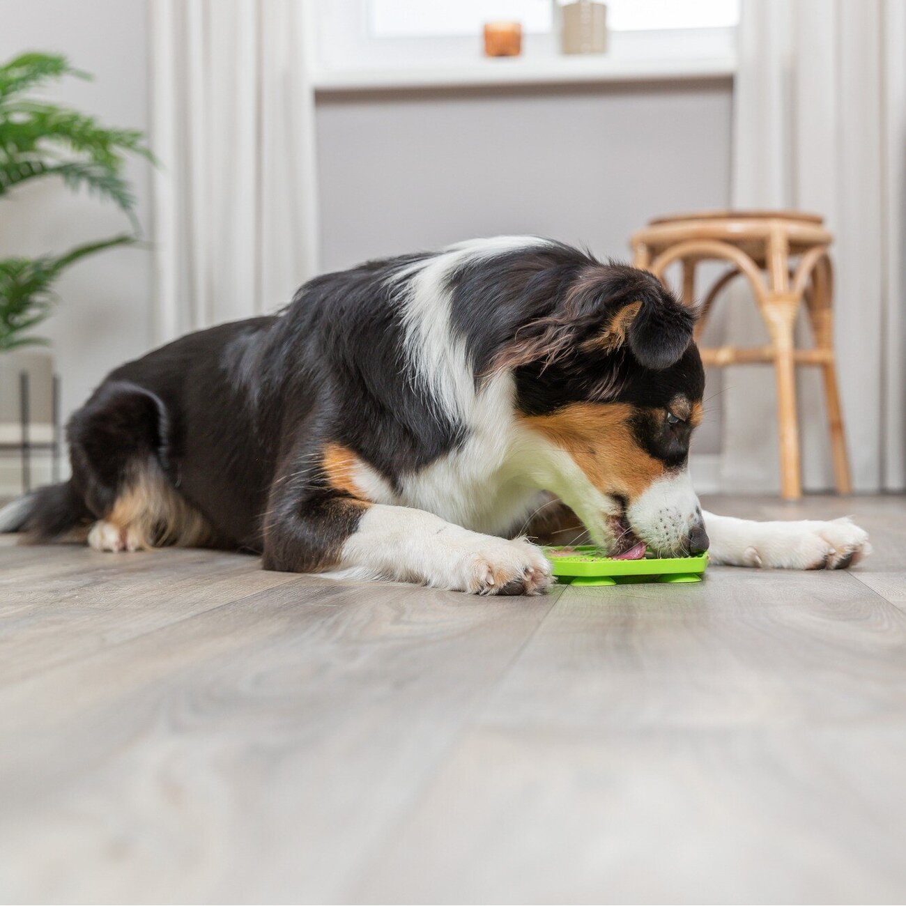 Lick'n'Snack Matte mit Saugnäpfen Bild 6