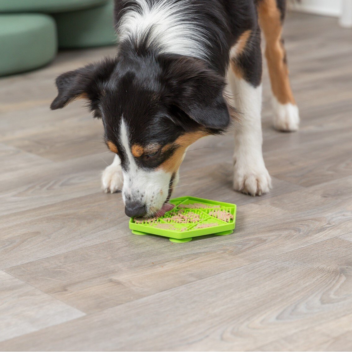 Lick'n'Snack Matte mit Saugnäpfen Bild 7