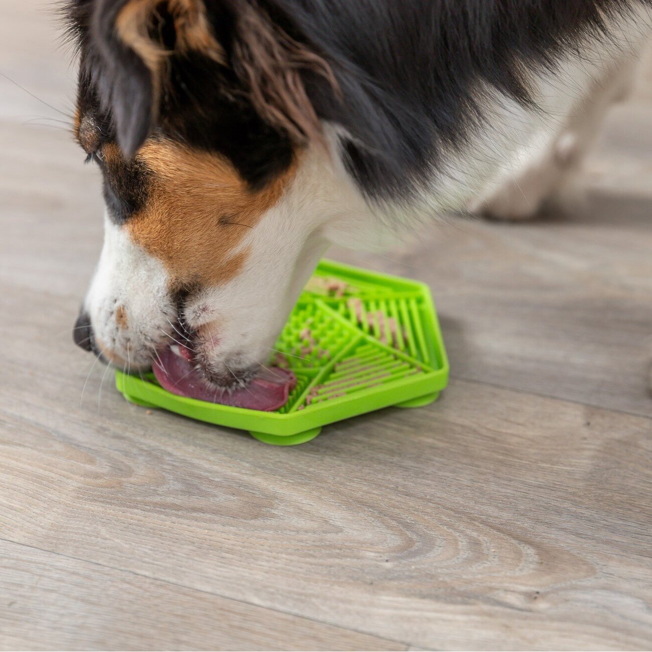 Lick'n'Snack Matte mit Saugnäpfen Bild 2