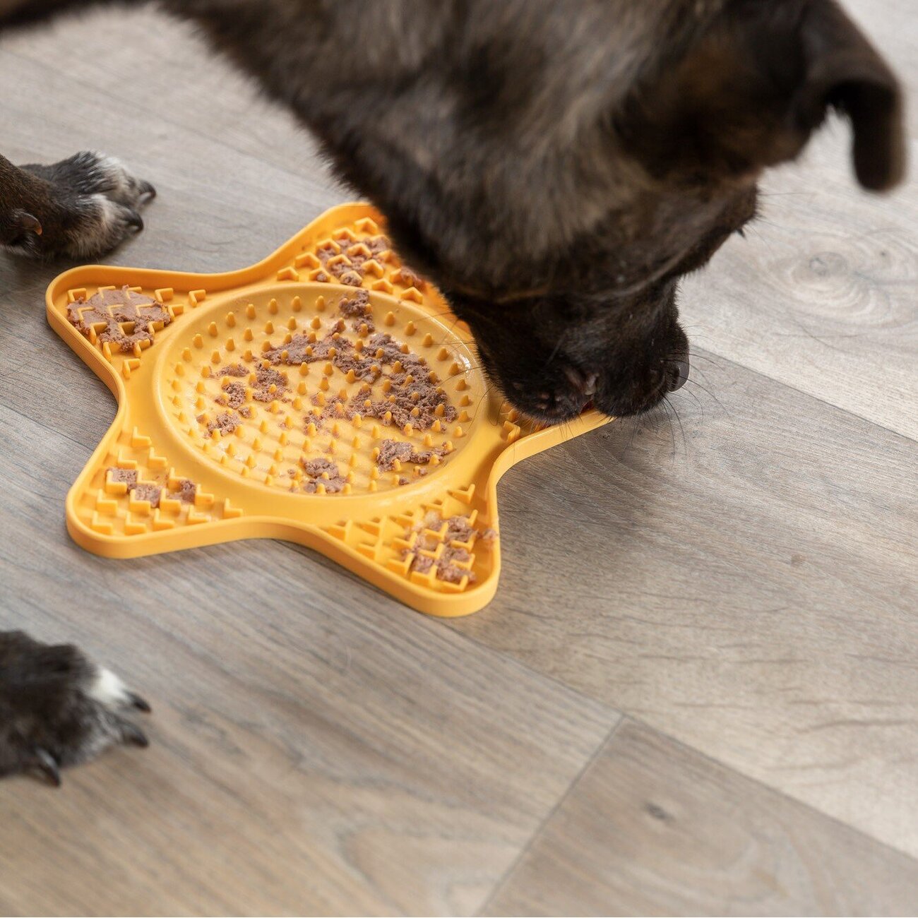 Lick'n'Snack Matte Stern Bild 4