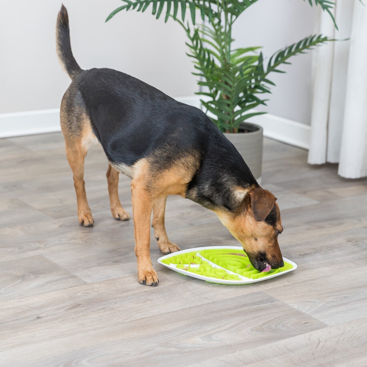 Lick'n'Snack Platte Anti Schling Bild 2