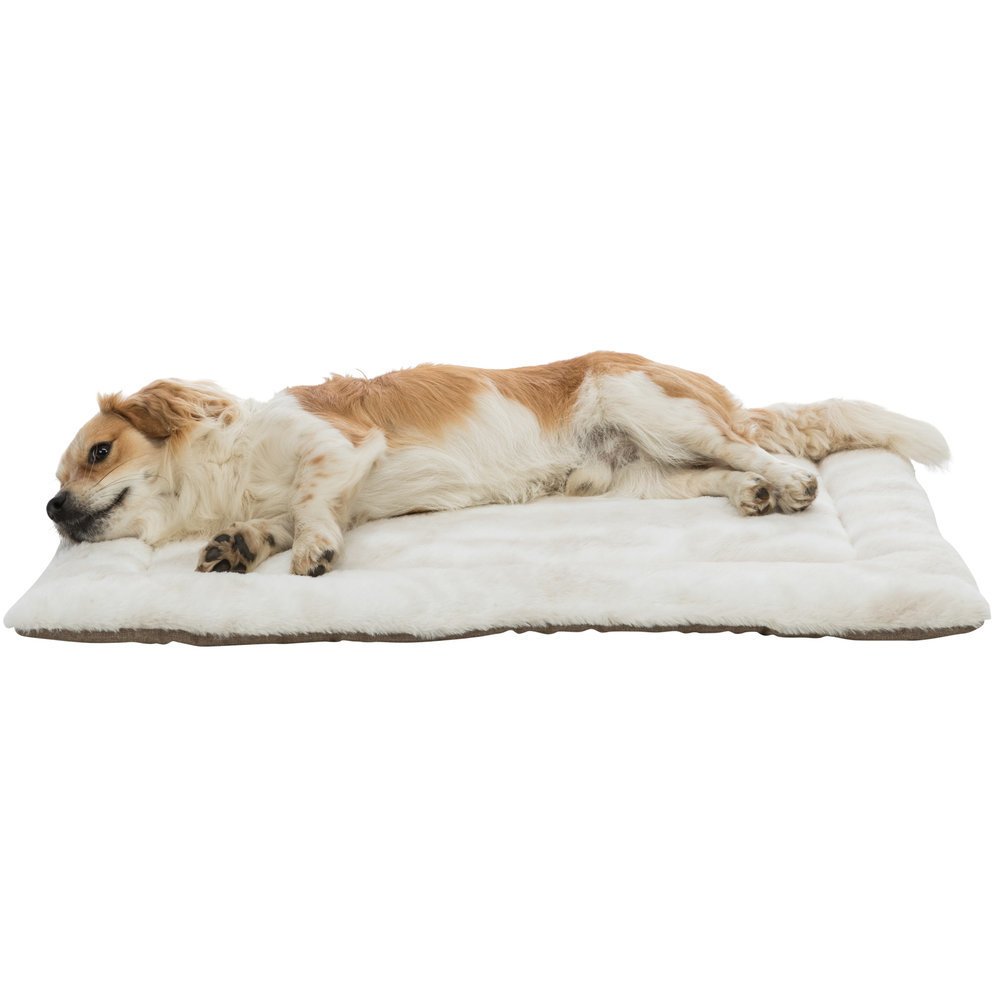 Liegematte Nelli Bild 6