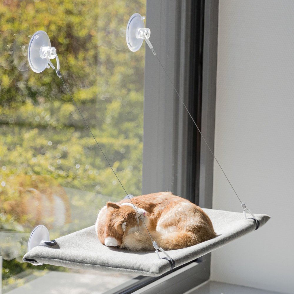 Liegeplatz für Fensterscheibe Bild 2