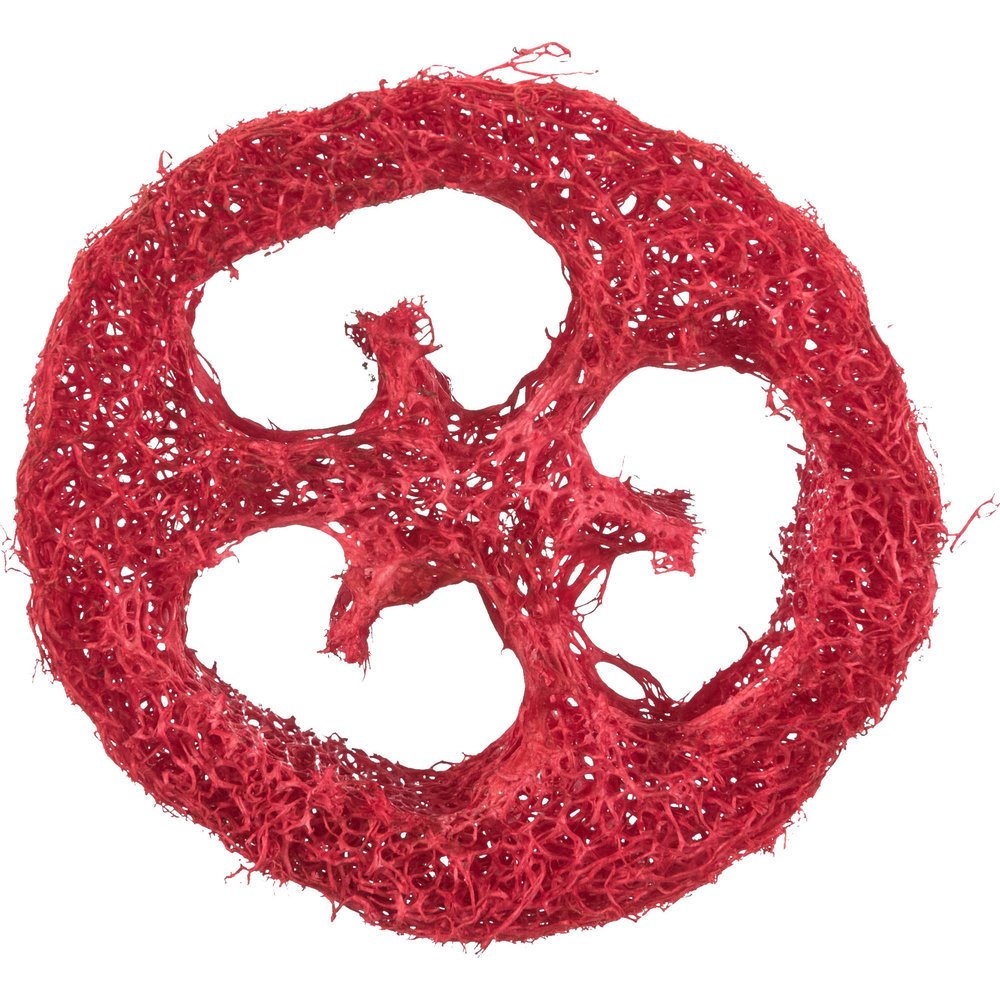 Luffa-Spielzeug für Meerschweinchen, Kaninchen Bild 7