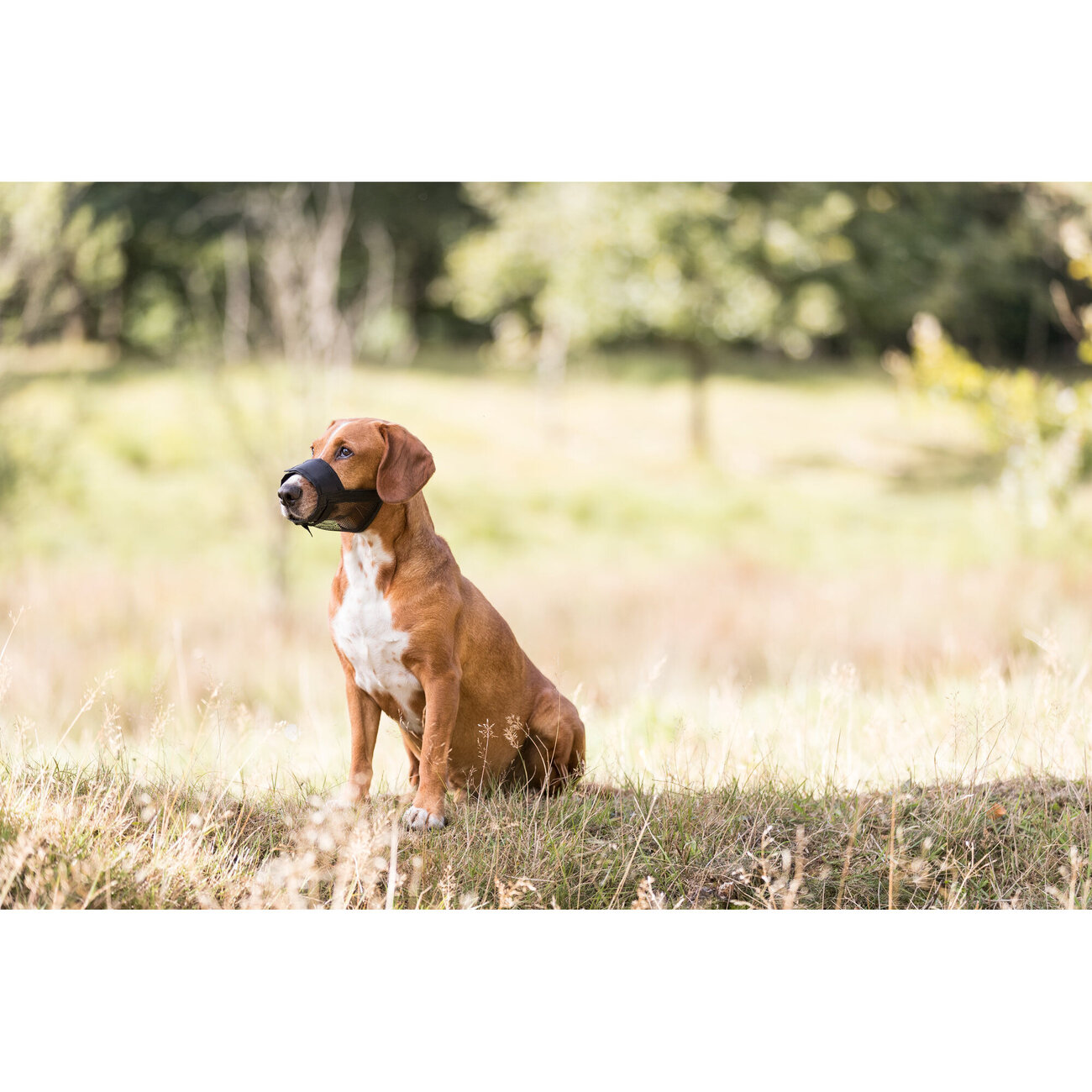 Trixie Maulkorb mit Netzeinsatz Bild 4