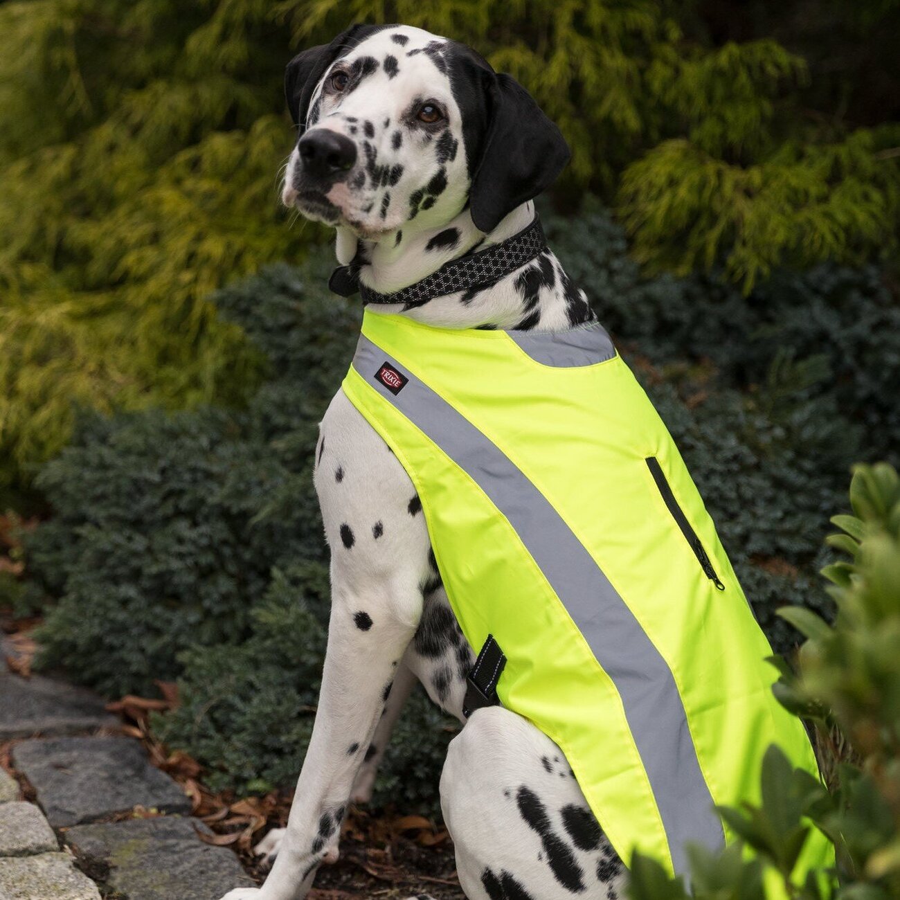 Hunde Sicherheitsweste mit Bauchgurt Bild 2