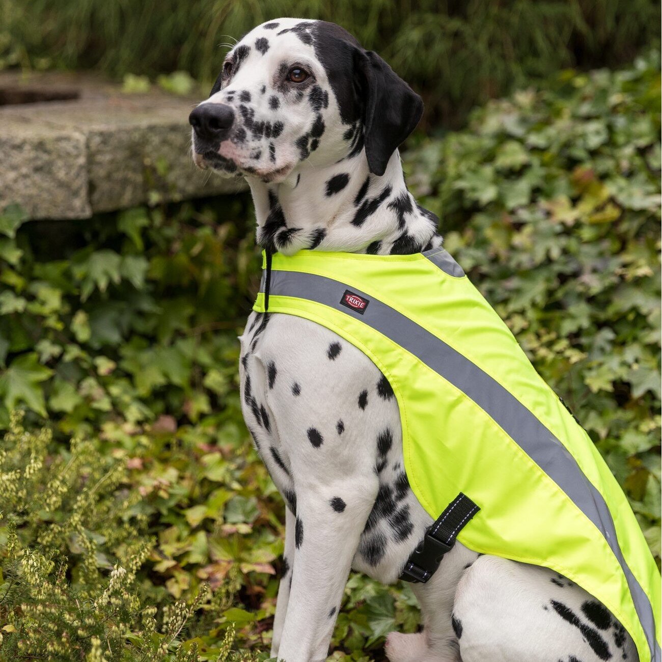 Hunde Sicherheitsweste mit Bauchgurt Bild 11