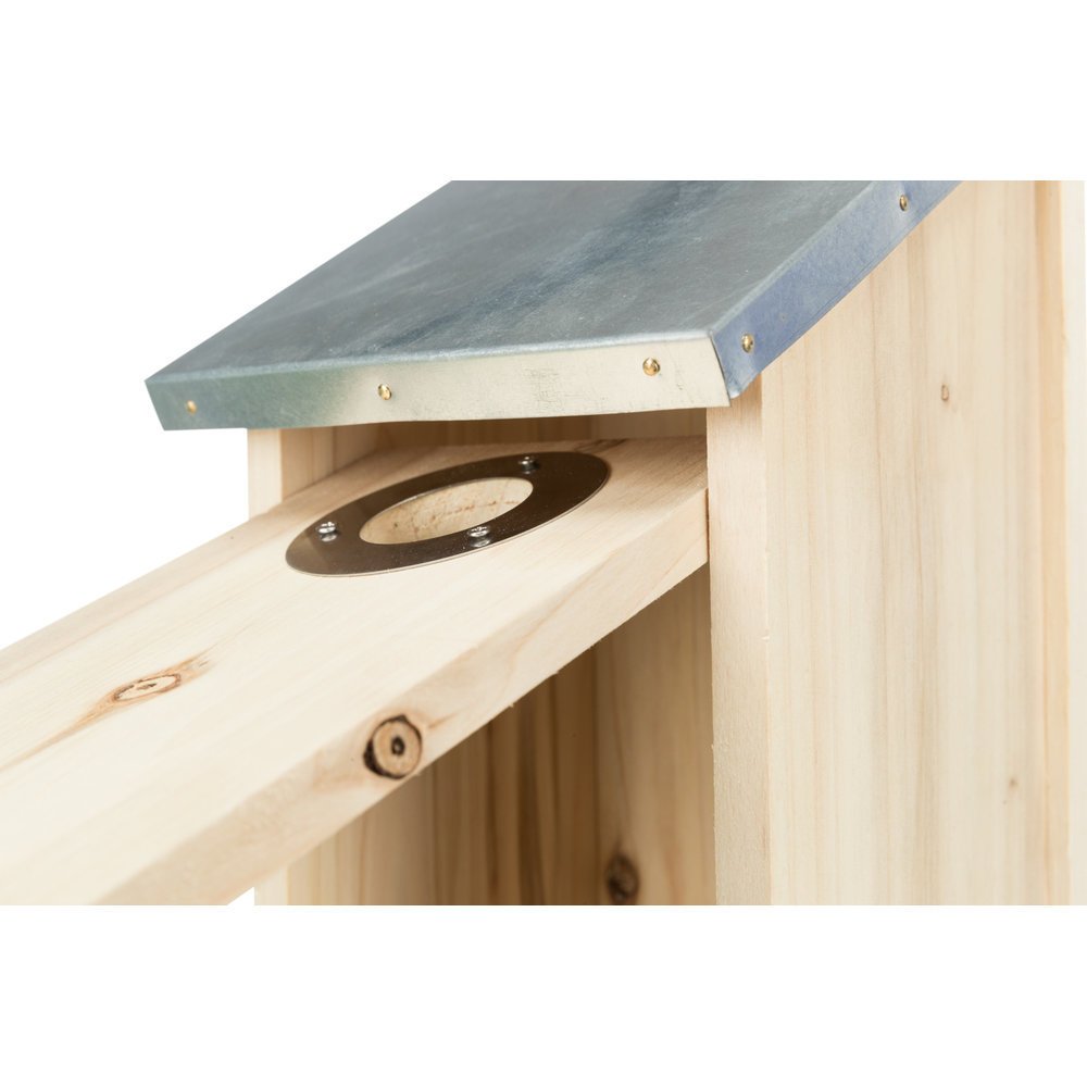 Nistkasten für Stare Bild 8