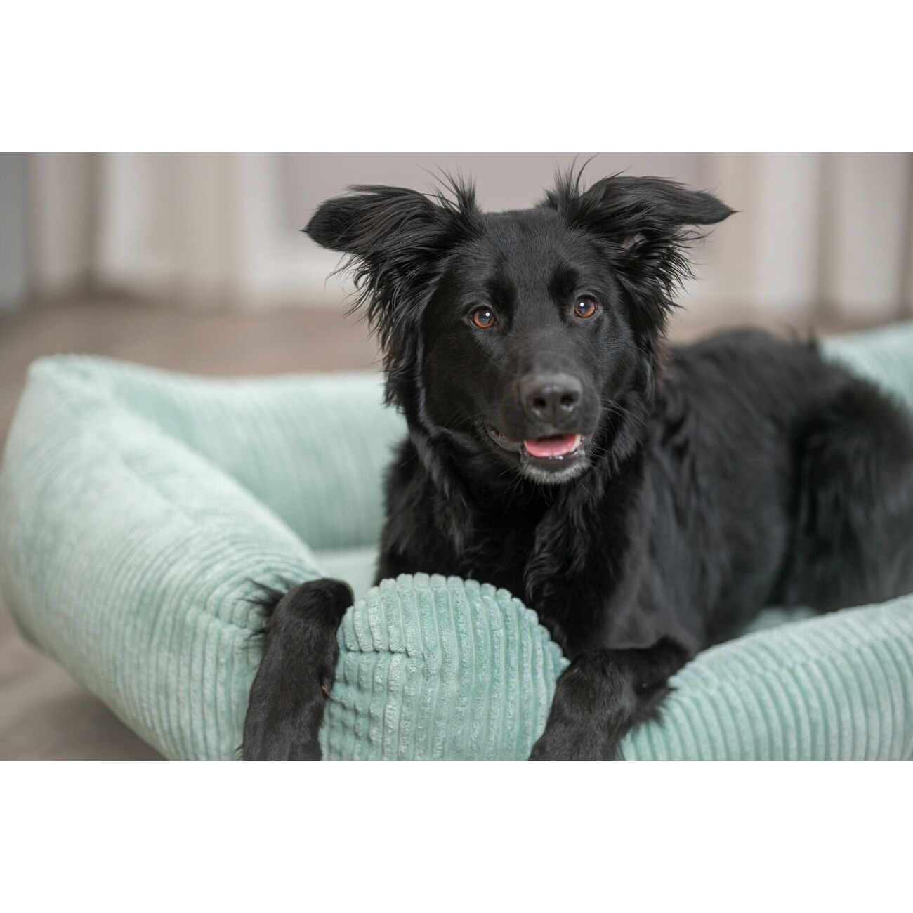 Orthopädisches Hundebett Vitalbett Jonna aus Cordplüsch Bild 8