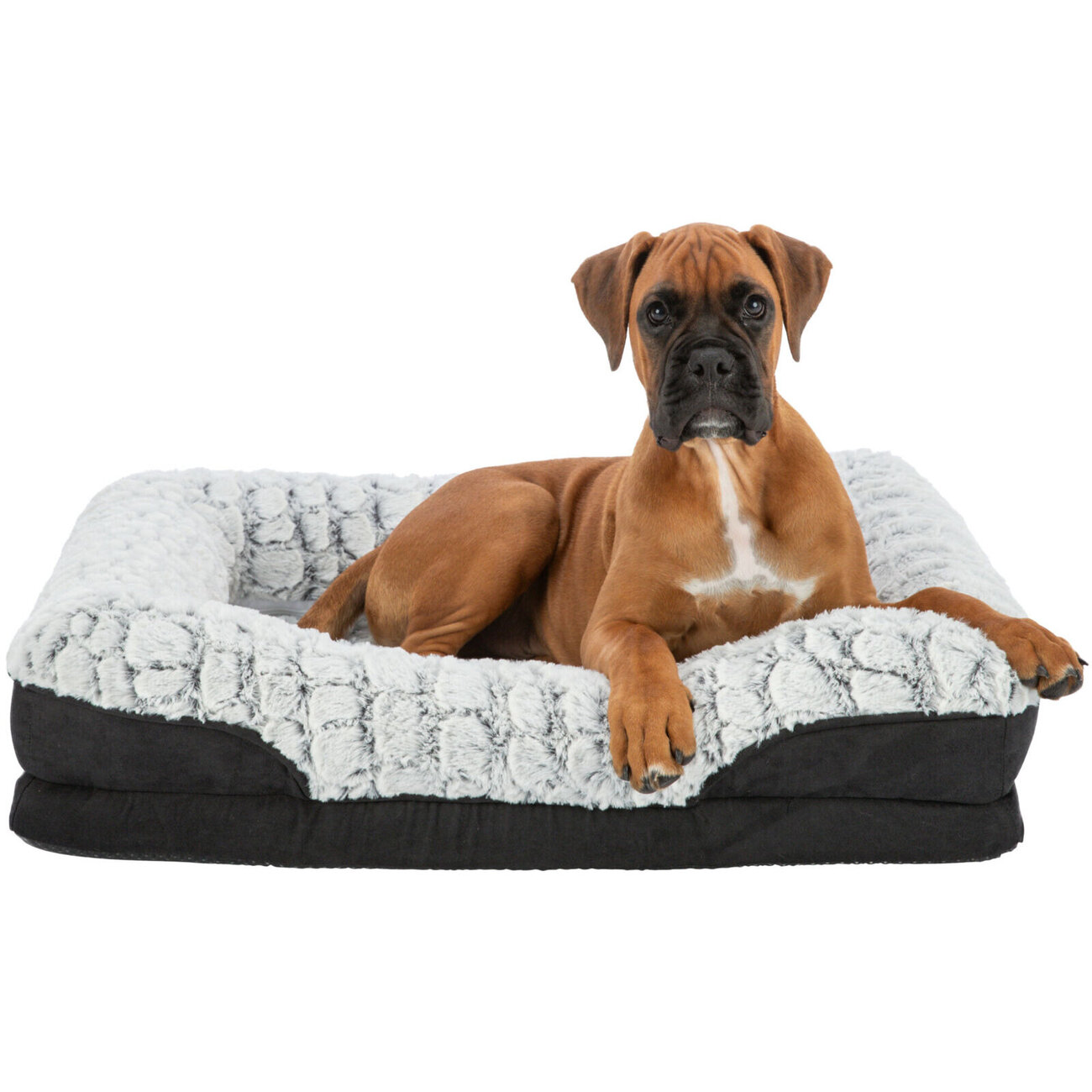 Orthopädisches Vital Hundebett Lino, eckig Bild 2