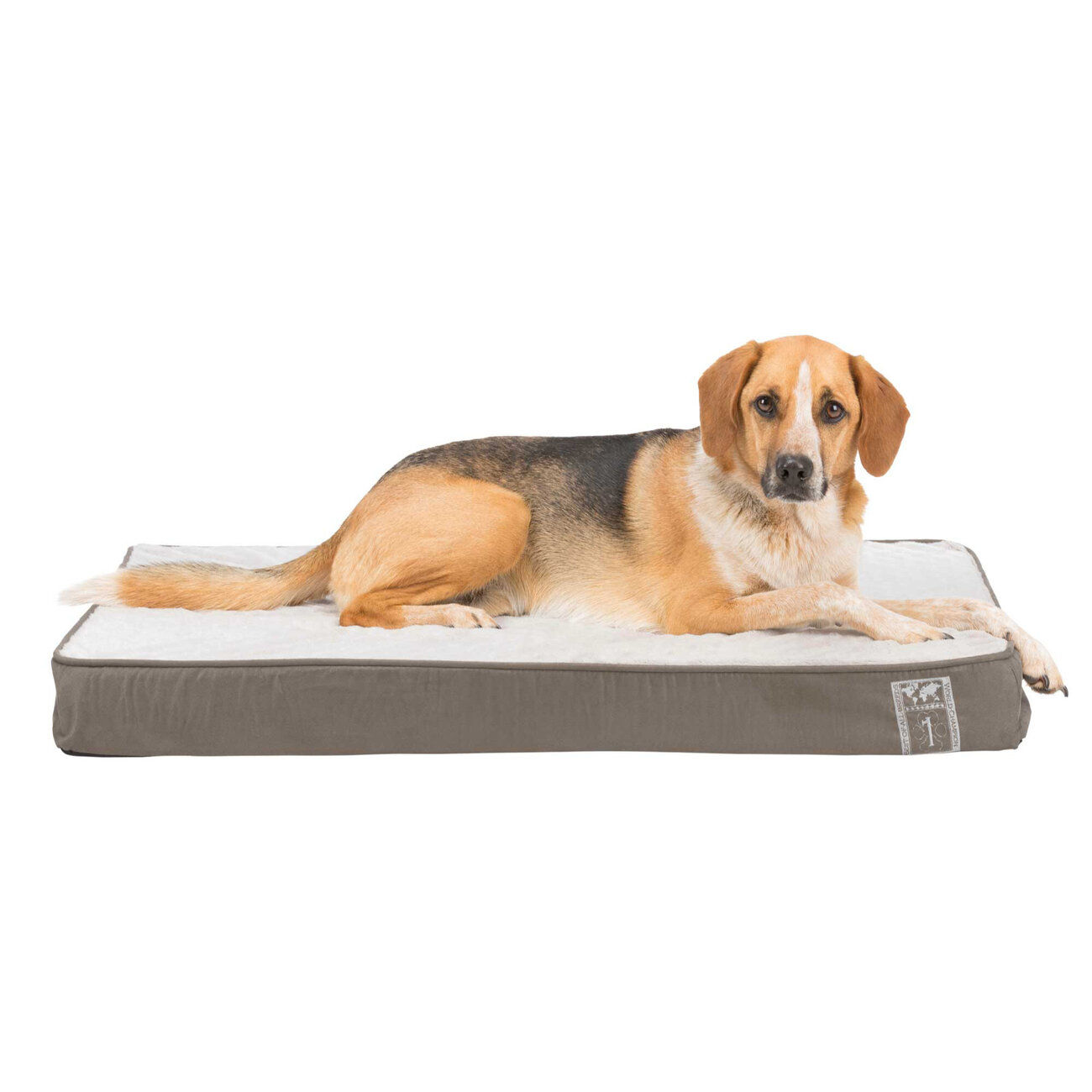 Orthopädisches Vital Hundekissen Best of all Breeds Bild 4