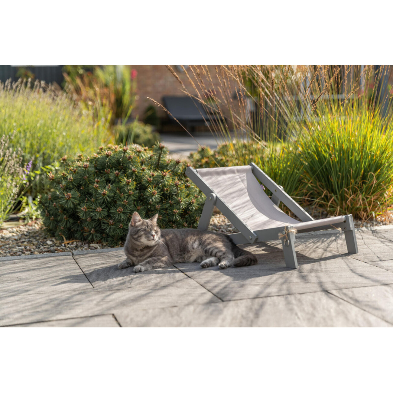 TRIXIE Outdoor Strandstuhl Strong Edition für Katzen – Dein Sonnenplatz im Grünen Bild 6