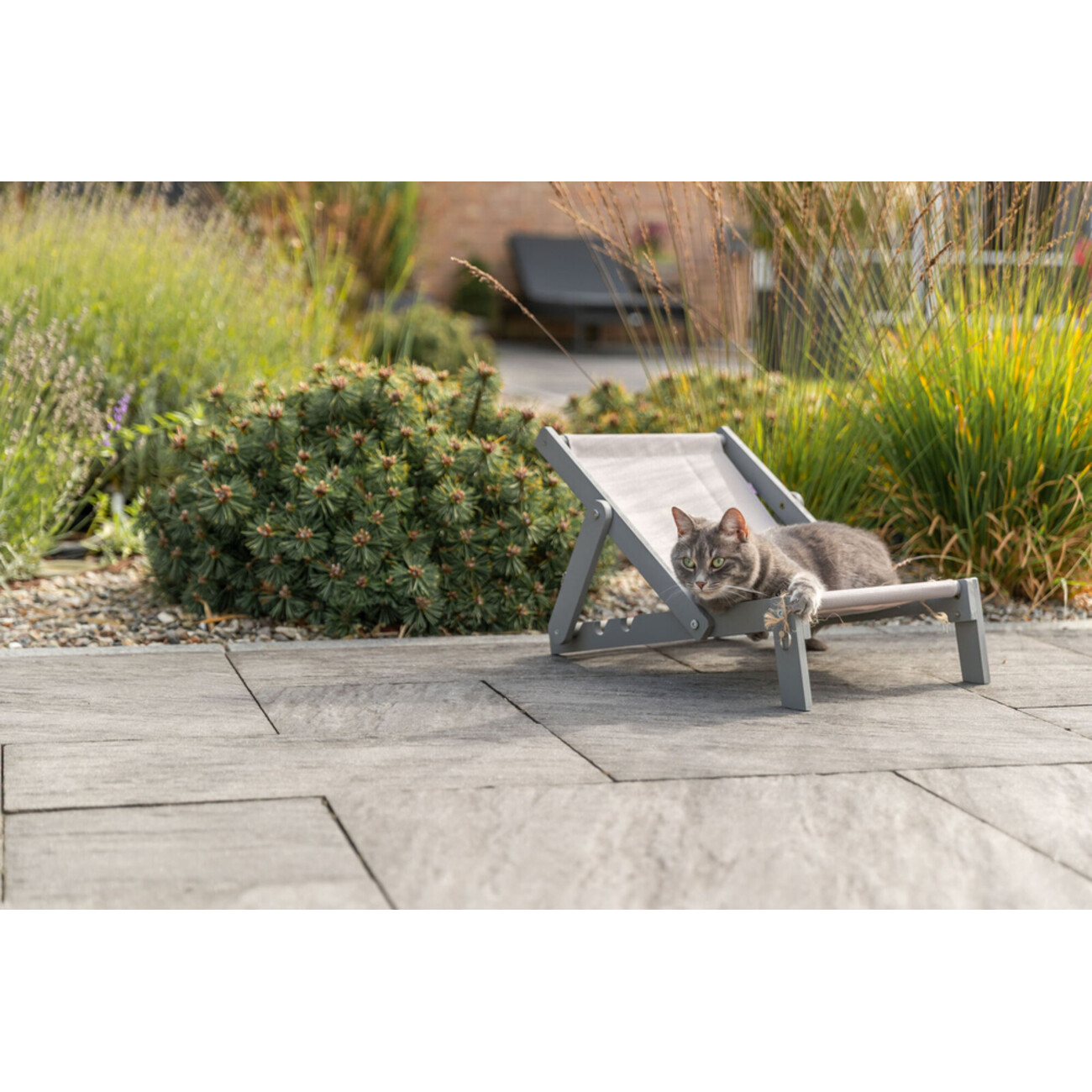 TRIXIE Outdoor Strandstuhl Strong Edition für Katzen – Dein Sonnenplatz im Grünen Bild 2