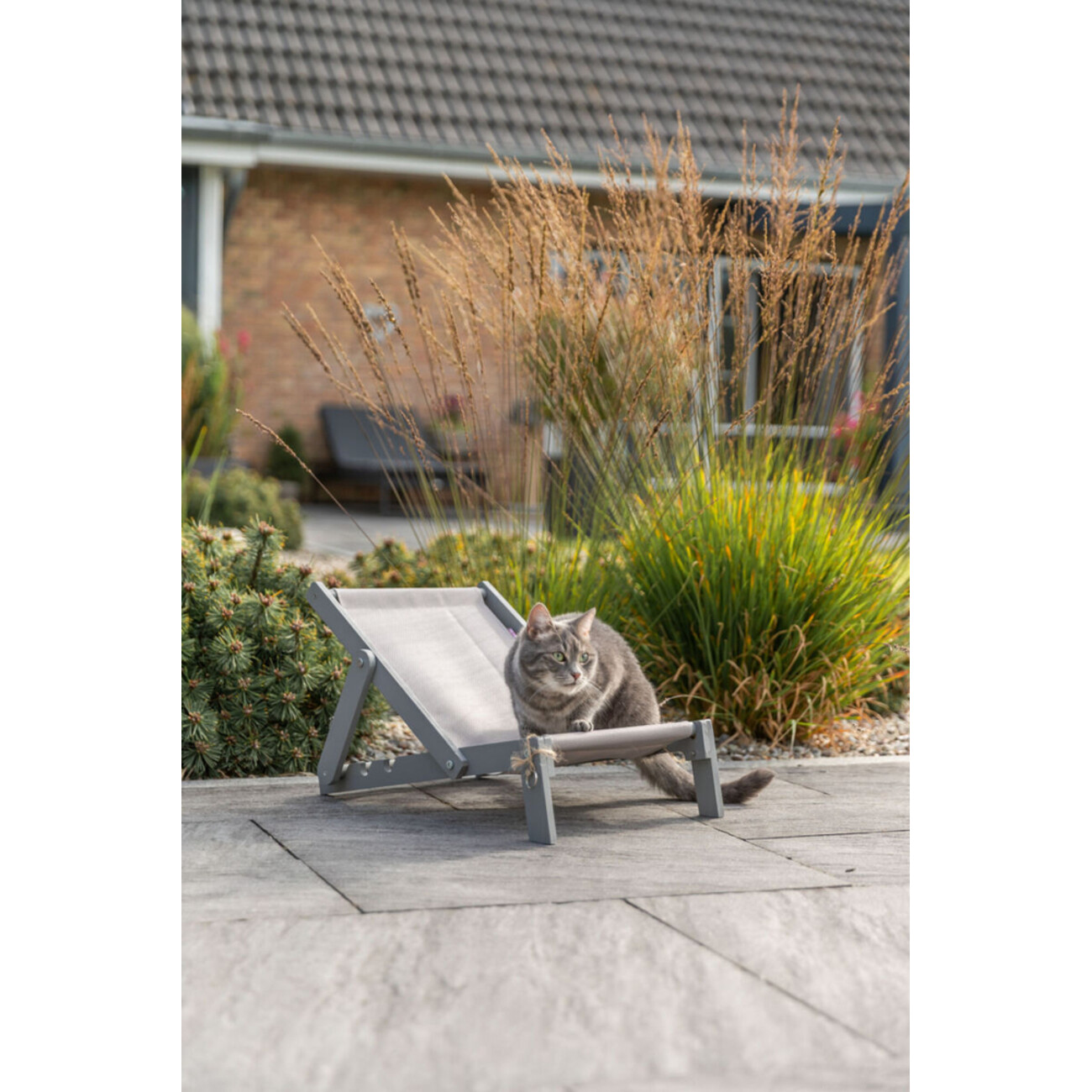 TRIXIE Outdoor Strandstuhl Strong Edition für Katzen – Dein Sonnenplatz im Grünen Bild 7