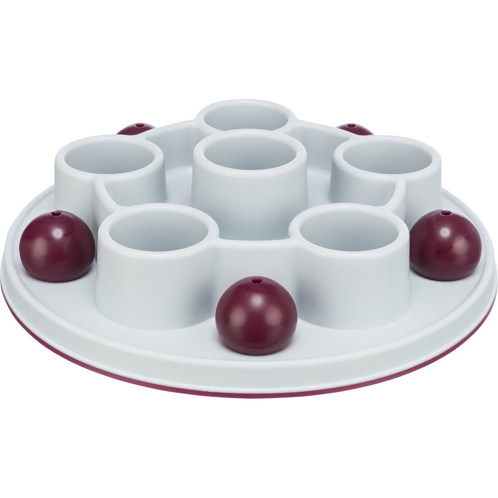 Cat Activity Pentagon Katzenstrategiespiel Bild 1