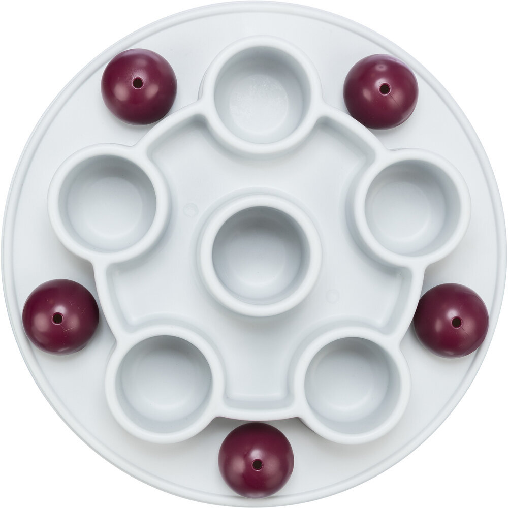 Cat Activity Pentagon Katzenstrategiespiel Bild 3