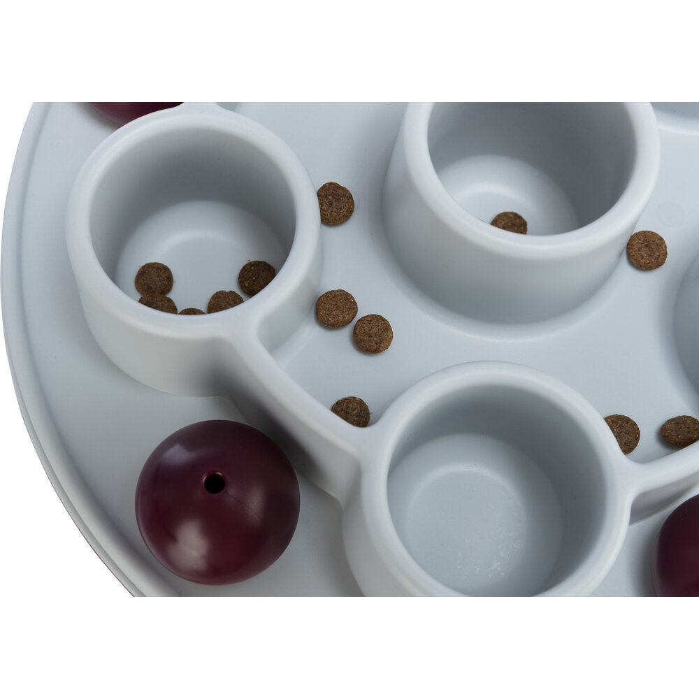 Cat Activity Pentagon Katzenstrategiespiel Bild 6