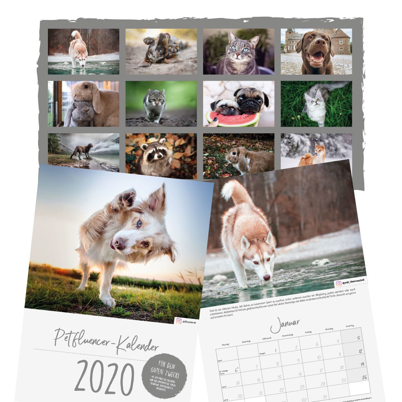 TRIXIE Petfluencer Kalender 2020 Bild 2