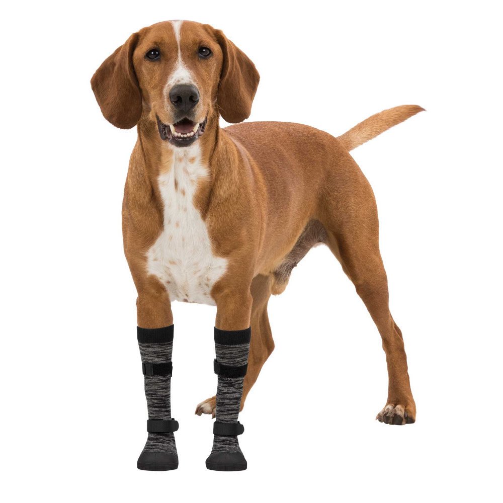 Trixie Pfotenschutz für Hunde Walker Socks Bild 2