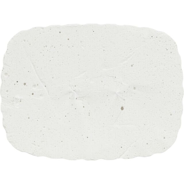 Muschel Pickstein für Sittiche und Papageien Bild 1