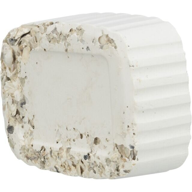 Muschel Pickstein für Sittiche und Papageien Bild 2