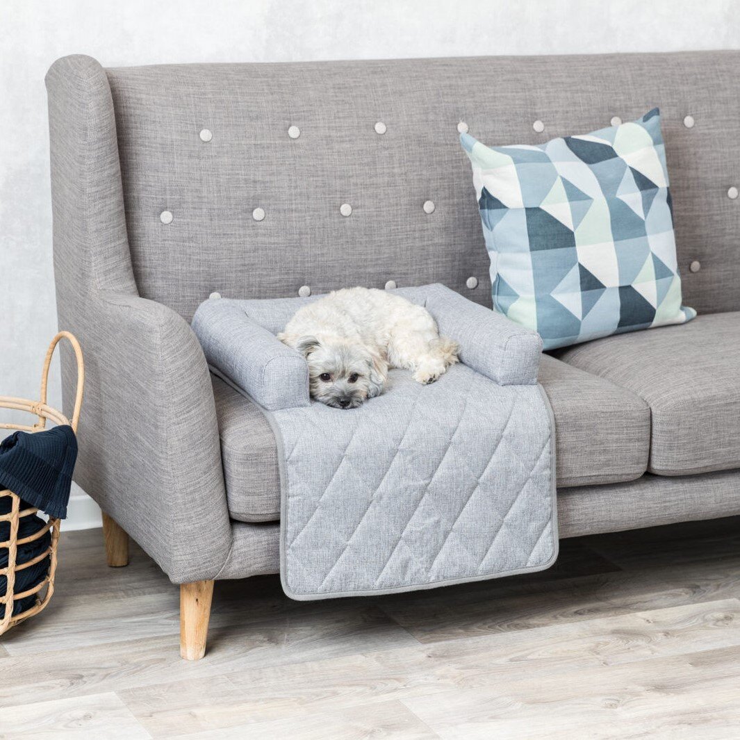 Polster Schondecke Nero für Hunde Bild 9