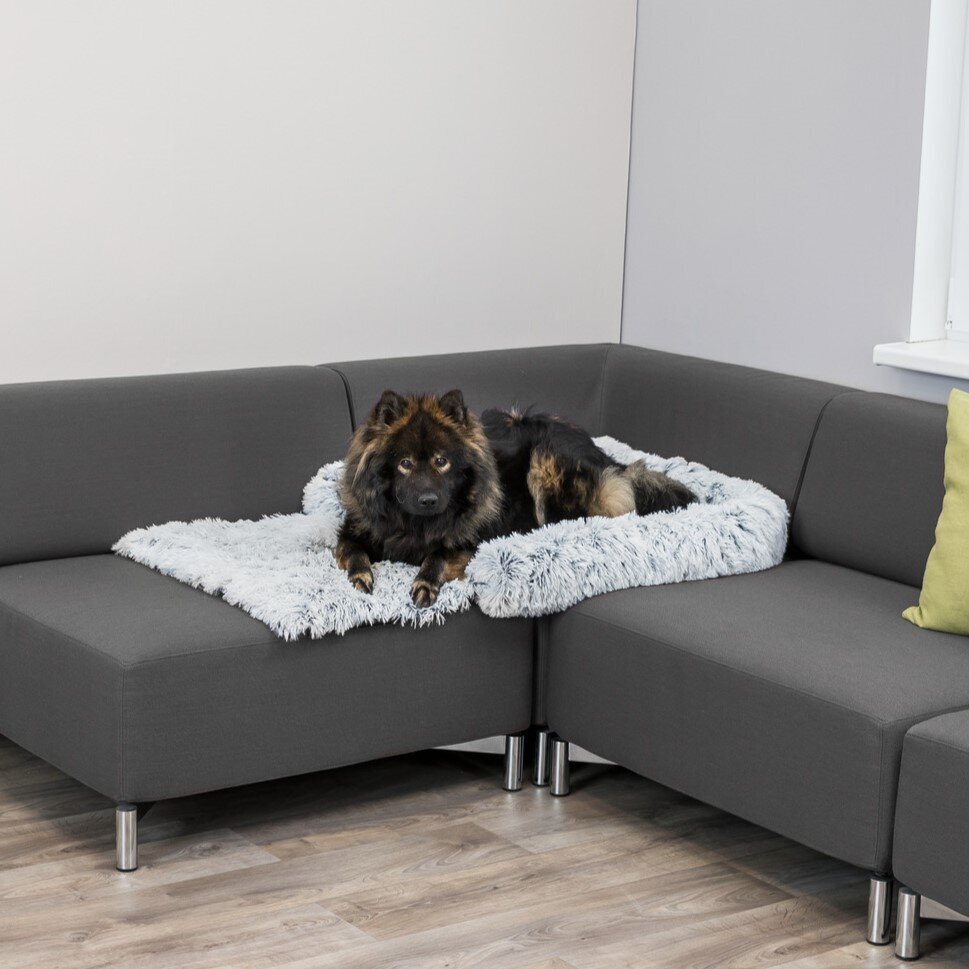 Polster-Schondecke Harvey für Hunde Bild 9