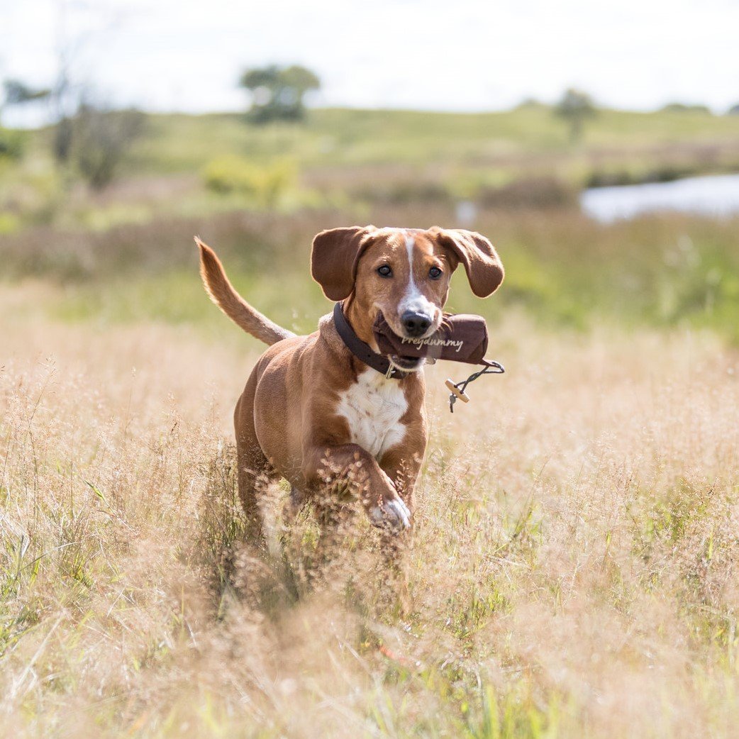 Trixie Preydummy Futterdummy von Jan Nijboer Bild 6