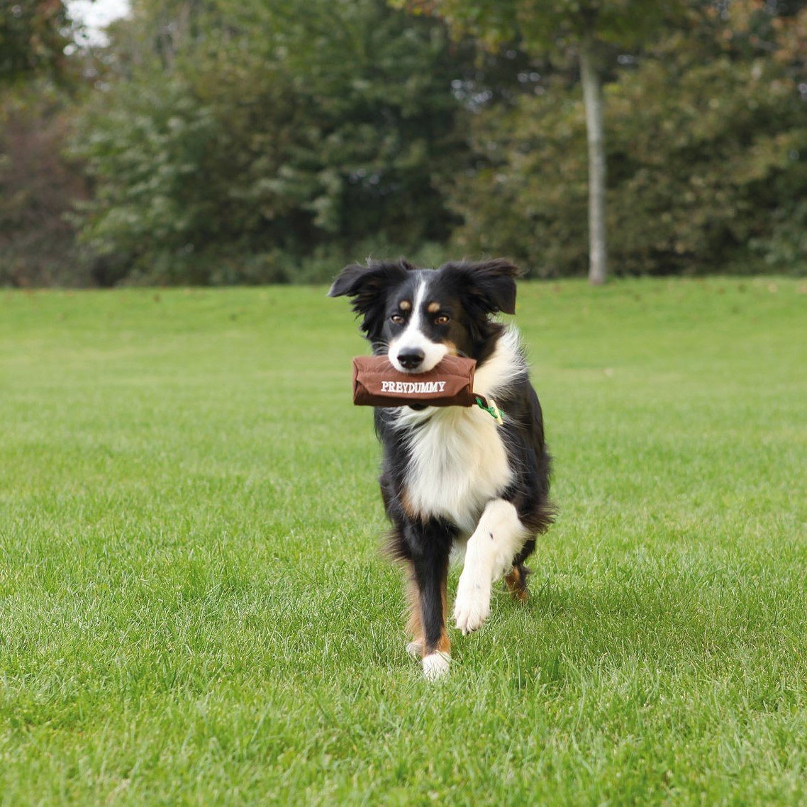 Trixie Preydummy Futterdummy von Jan Nijboer Bild 4