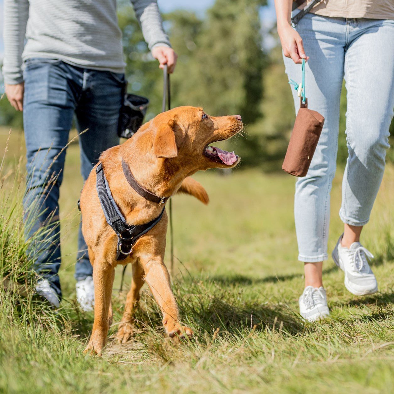 Trixie Preydummy Futterdummy von Jan Nijboer Bild 10