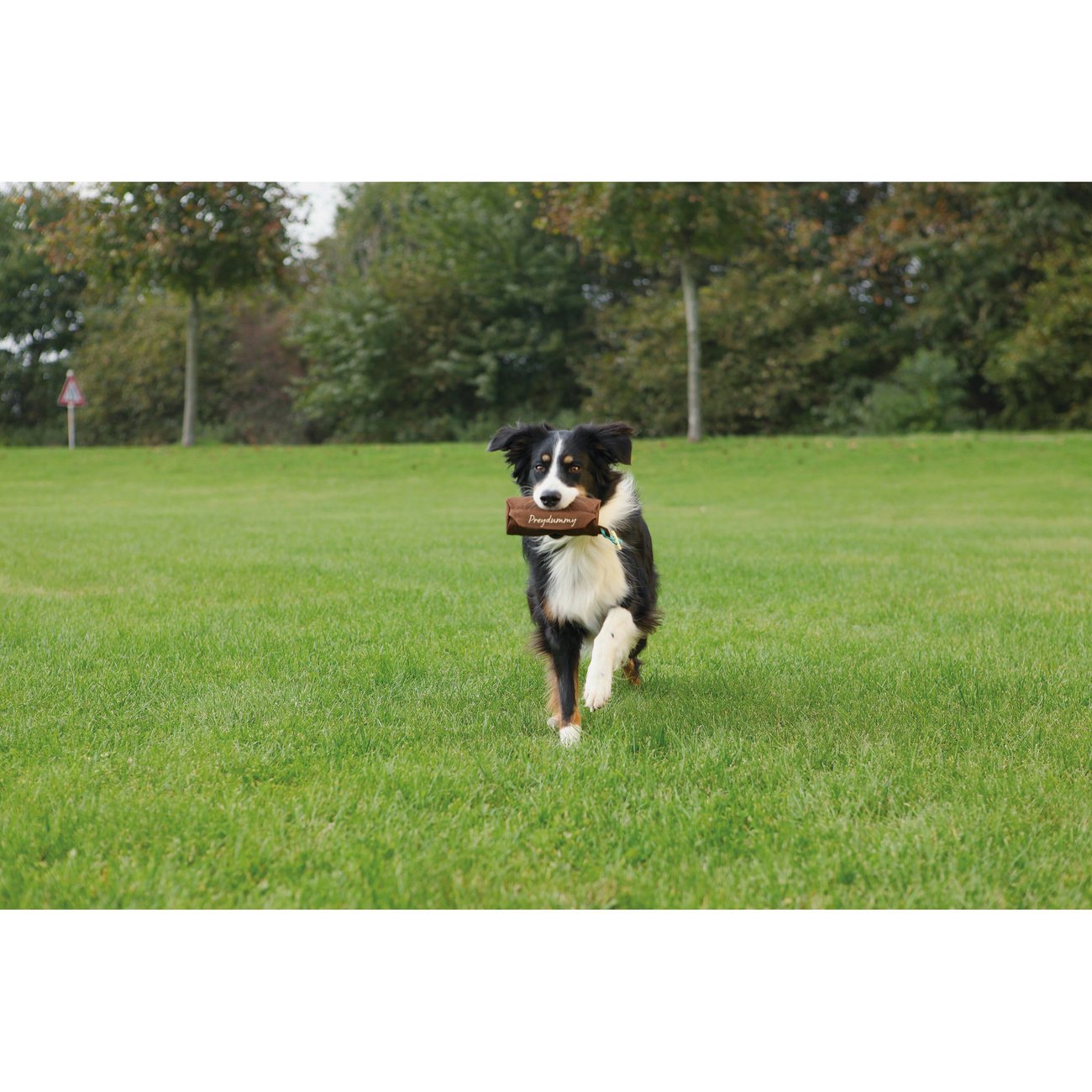 Trixie Preydummy Futterdummy von Jan Nijboer Bild 12