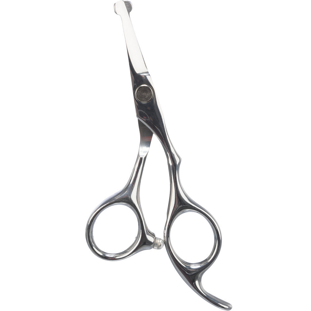 Profi Gesichts- und Pfotenschere für Hunde Bild 2